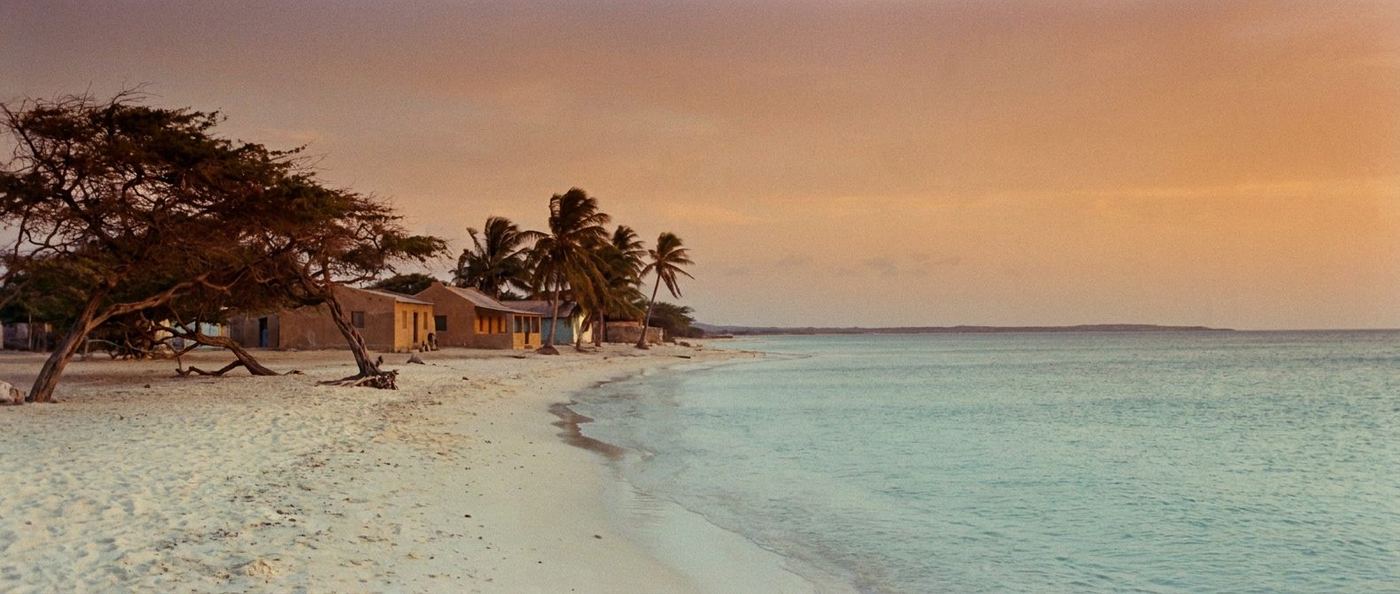 Aruba beach at golden hour